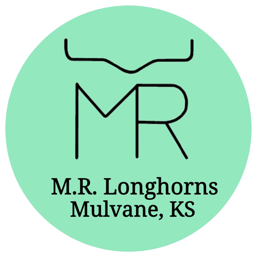 MR Longhorns logo